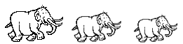 pictures of elephants - 4 kb